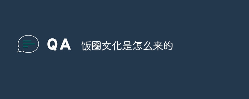 饭圈文化是怎么来的