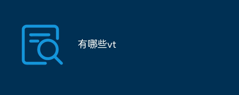 有哪些vt