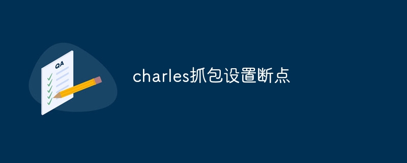 charles抓包设置断点