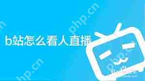 b站如何观看他人直播
