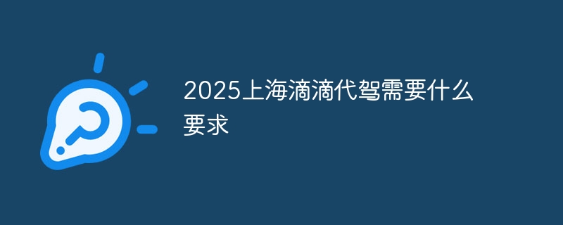 2025上海滴滴代驾需要什么要求