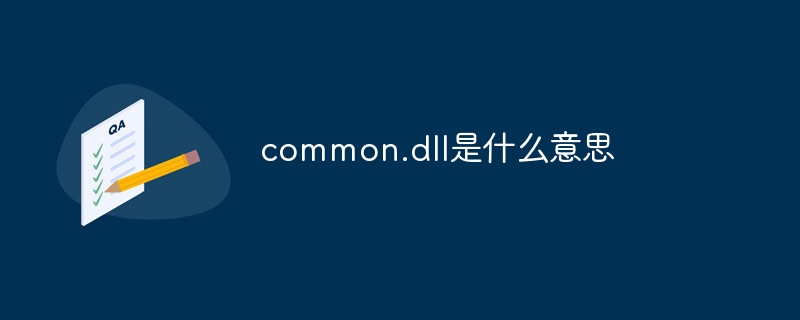 common.dll是什么意思