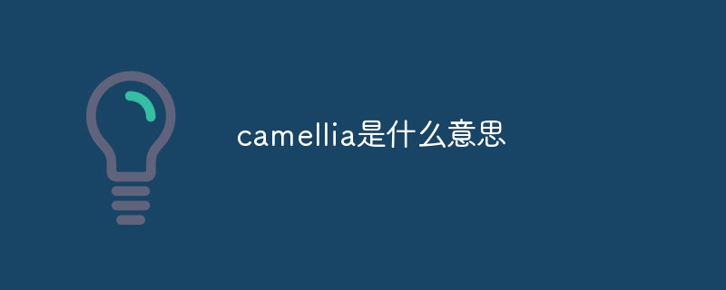 camellia是什么意思