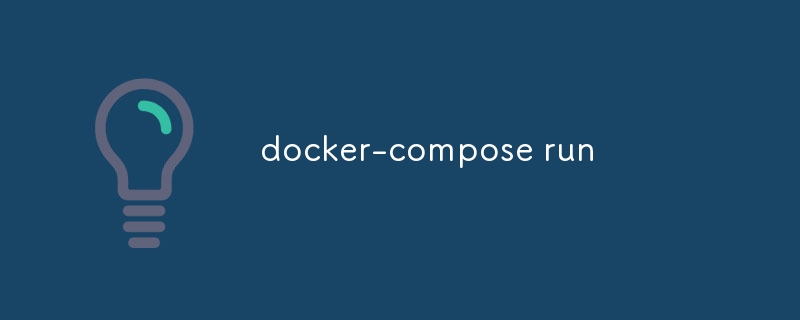 docker-compose run