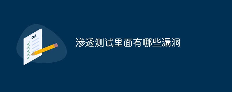 渗透测试里面有哪些漏洞
