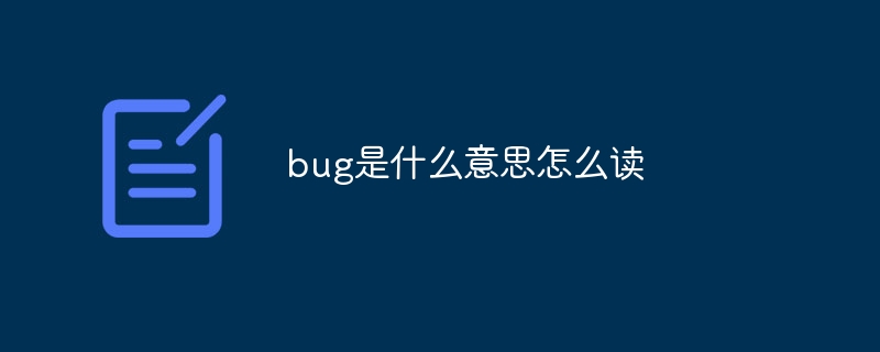 bug是什么意思怎么读