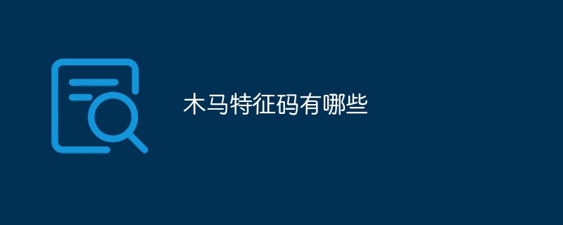 木马特征码有哪些