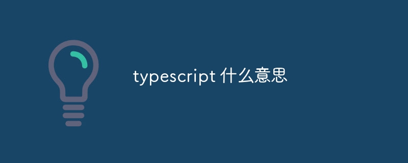 typescript 什么意思