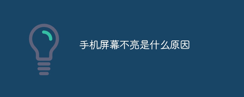 手机屏幕不亮是什么原因