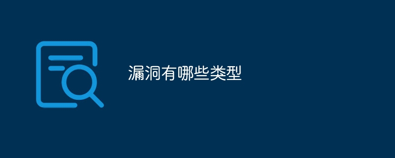 漏洞有哪些类型