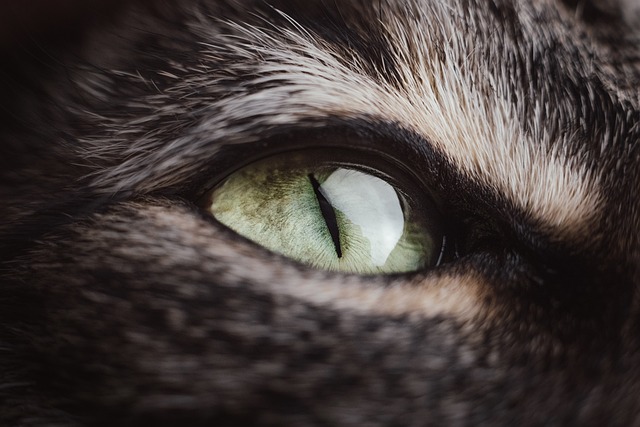 大华猫眼摄像头安装教程