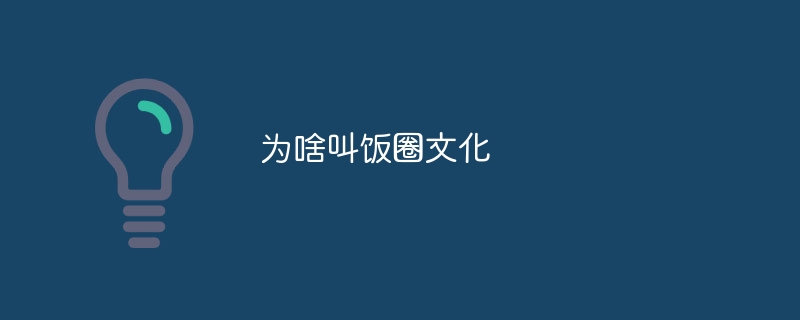 为啥叫饭圈文化
