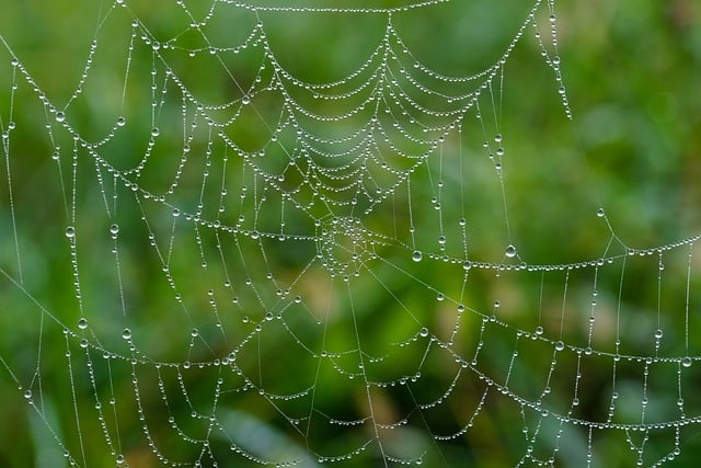 web防护手段有哪些