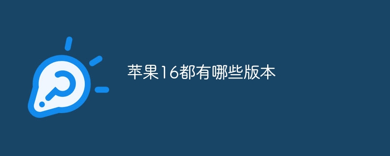 苹果16都有哪些版本