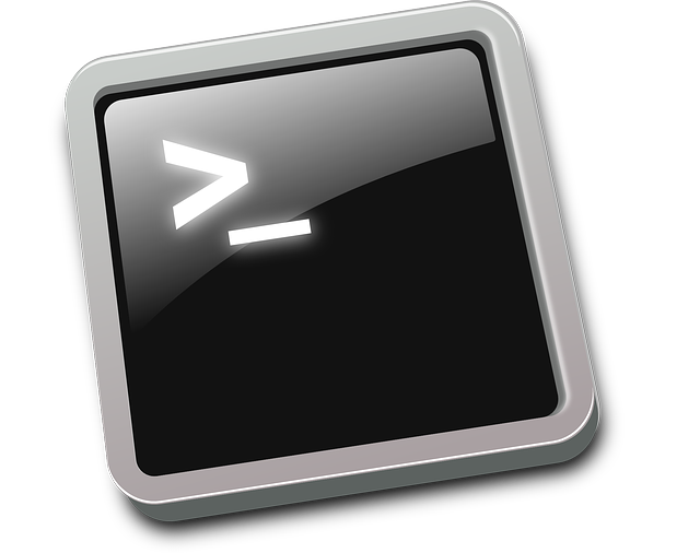 linux命令行如何输入中文