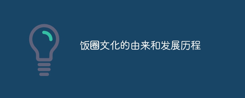 饭圈文化的由来和发展历程