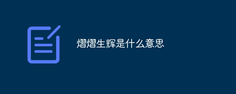 熠熠生辉是什么意思