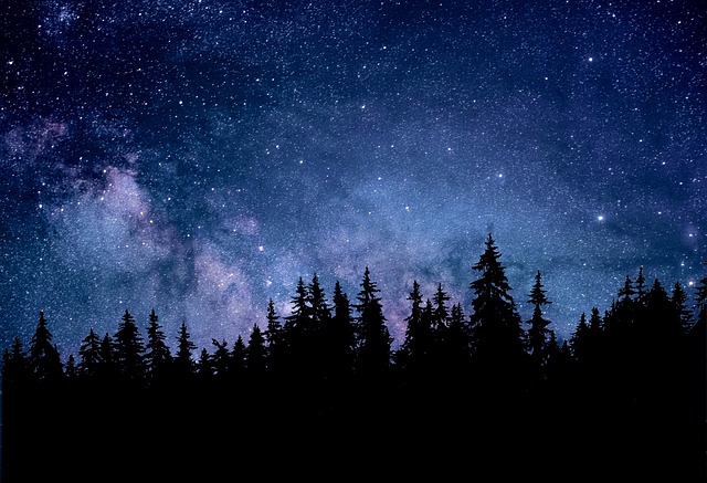 8月28日是什么星座