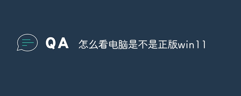 怎么看电脑是不是正版win11