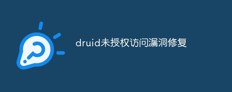druid未授权访问漏洞修复