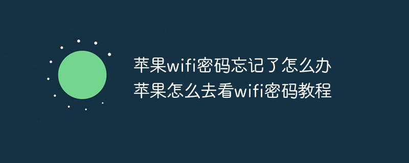 苹果wifi密码忘记了怎么办 苹果怎么去看wifi密码教程