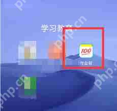 作业帮如何检测答案正确性