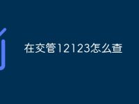 在交管12123怎么查-路由网