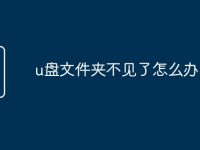 u盘文件夹不见了怎么办-路由网