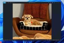 微软 Win11 照片更新:改进查看器和导入功能、查看器加速速度快-路由网