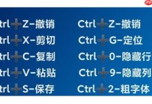 复制Ctrl+C,粘贴Ctrl+V-路由网
