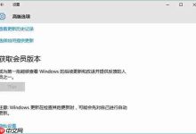 Win10系统“获取会员版本”选项呈灰色不能使用如何解决?-路由网