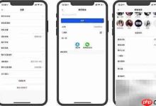 选即时通讯软件,按需挑适配者-路由网