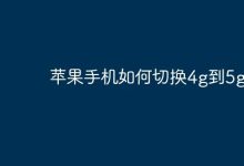 苹果手机在设置中轻松切换4G至5G-路由网