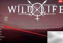 野性动物栖息地建造完整指南-路由网