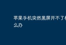 苹果手机黑屏无法开机?快试试这些方法!-路由网