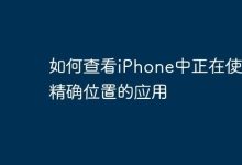 iPhone里咋查用精确位置的应用?-路由网