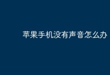 苹果手机无声?快试试这些解决妙招!-路由网