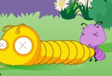 虫虫漫画网页观漫,最新网址速览-路由网