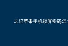 苹果手机锁屏密码忘,如何快速找回?-路由网