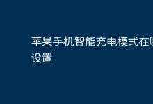 iPhone智能充电模式设置位置-路由网