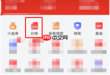 京东白条取现至银行卡,四步图解轻松操作!-路由网