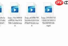 格式工厂转MP4失败或因编码兼容问题-路由网