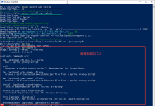 Spring Boot 2.4 Windows Scoop 安装命令行工具-路由网