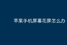 苹果手机屏幕花屏,如何快速解决?-路由网