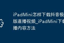 iPad Mini如何速下抖音极速版直播视频-路由网