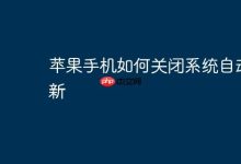 苹果手机怎样手动关停系统自动更新?-路由网