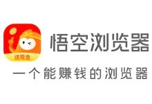 悟空浏览器:细览隐私协议,守护信息安全-路由网