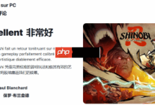 《超级忍》获IGN法9分,年度忍者佳作-路由网