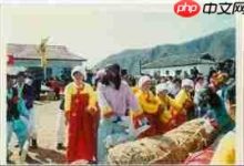 拔草龙习俗源于哪个特定民族?-路由网