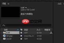 C4D文件怎样快捷导入AE软件中?-路由网
